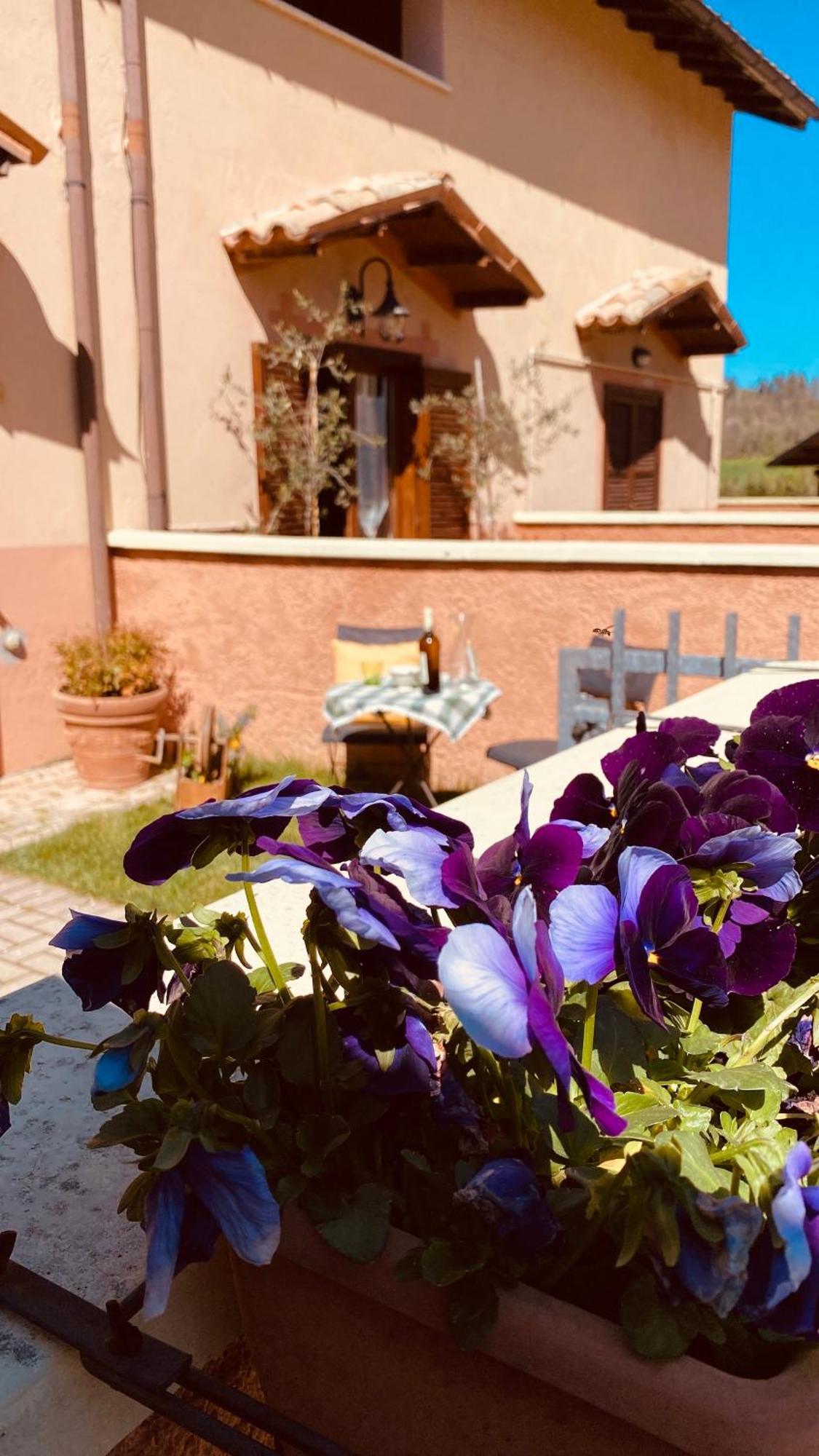 Crispiero Selvicolle Country House מראה חיצוני תמונה